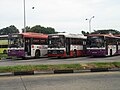 Scania N113s (AC Exterior), SBS Transit