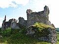 Burg von Bužim