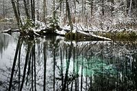 Blue Springs at Endla Nature Reserve