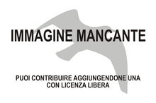 Immagine di Alectoris magna mancante