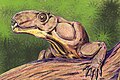 Phthinosuchus