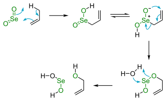 Scheme 1. Selenium dioxide oxidation