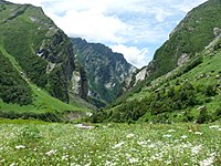 Nationalparks Nanda Devi und „Tal der Blumen“