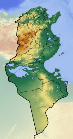 Mapa konturowa Tunezji, po prawej znajduje się punkt z opisem „Dżerba”