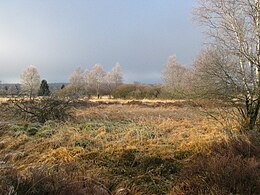 Hautes Fagnes