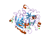 2jh5: HUMAN THROMBIN HIRUGEN INHIBITOR COMPLEX.