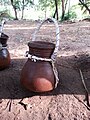 Toddy or Palm wine collection pot, ಭಾರತ