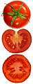 Tomate