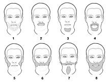 Lainlaing mga lahi sa bungot: 1) Incipient 2) Barmae 3) Goatee o Mandarin 4) Spynurn 5) Side Style