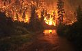 Image 41Elk Bath, an award-winning photograph of elk avoiding a wildfire in Montana (from Wildfire)