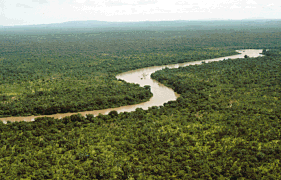 Sông Gambia