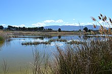 Llacuna o albufera de Gaianes