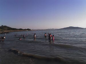 Orang ramai juga berenang berekreasi, di Pantai Kellar Beach di Richmond's Pesisir Rantau Miller/Knox.