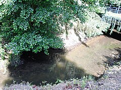 La Bièvre à sa confluence avec la Sygrie.