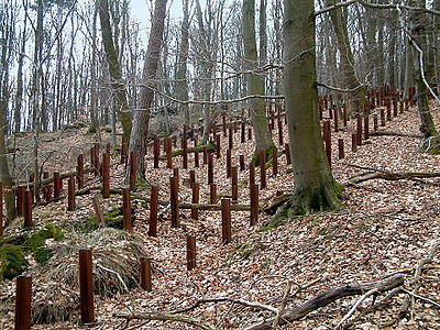 Xarxa de rails antitancs, davant de l'ouvrage de l'Hochwald