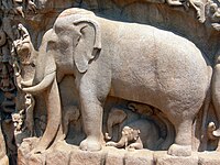 Life-size elephant and other creatures carved in granite, 7th–9th century A.D.; Mahabalipuram, India.