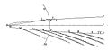 The orbit of the comet of 1680, fit to a parabola, as shown in Isaac Newton's Principia[3]