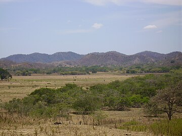 Parque nacional Diriá Ubicado cerca de Santa Cruz, posee 5426 ha, siendo el parque de mayor tamaño del ACT. Está cubierto de bosque húmedo tropical y bosque muy húmedo premontano, bosques caducifolios, bosques ribereños, bosque siempre verdes, charrales y tacotales. En él habitan 134 especies de aves y mamíferos como venados y coyotes.