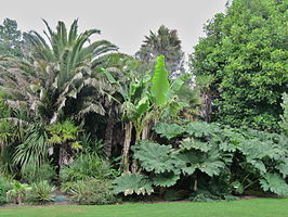 De Morrab Gardens in Penzance