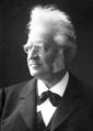 Bjørnstjerne Bjørnson (1832–1910).