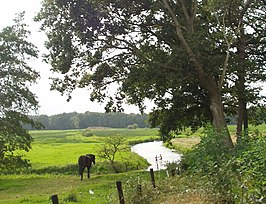 Drentsche Aa bij de Kymmelsberg