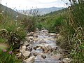 Nacemento do río Landro no Xistral.