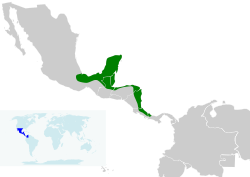 Distribución de I. wagleri