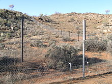 Area sovrapascolata nel Nuovo Galles del Sud occidentale (Australia) con perdita della flora autoctona, nell'angolo in alto a destra.