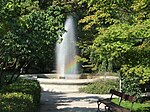 Jardin botanique de l'université de Varsovie.