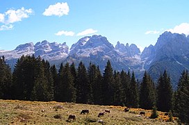 Dolomitas de Brenta-Madonna di Campiglio