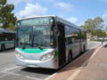 Transperth Mercedes-Benz O405NH diesel Volgren (12.3m)