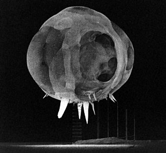 Nuclear detonation from the "Tumbler Snapper" test series