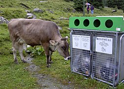 Getrennte Müllsammelbehälter im hinteren Pitztal/Tirol