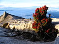 Zonsondergang op Mount Kinabalu