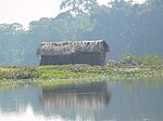 Flussinsel Majuli