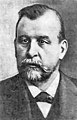 Nikolaj Menŝutkin (1842-1907)