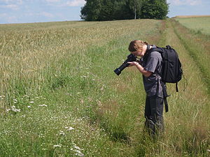 Lilly M; photographer, one of the best from Poland on the Wikimedia Commons