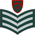 Staff sergeant (Gambian National Army)