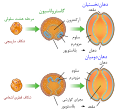 تصویر بندانگشتی از نسخهٔ مورخ ‏۲۳ آوریل ۲۰۲۳، ساعت ۰۰:۰۰