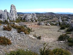 Causse du Larzac et ses formations dolomitiques.