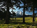 El volcán en verano.