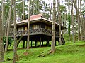 Salah satu tulugan di Kaamulan Park, Malaybalay City