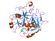 1w7g: ALPHA-THROMBIN COMPLEX WITH SULFATED HIRUDIN (RESIDUES 54-65) AND L-ARGININE TEMPLATE INHIBITOR CS107