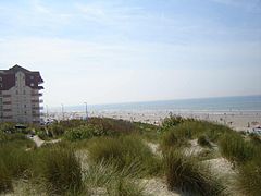 Dunes et plage de la mer du Nord à Bray-Dunes, en été.