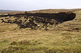 Turbeira en Ulsta, (Yell, Illas Shetland)