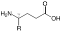 γ-aminoacidum. Gabapentino sane R positione β est