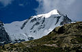 Gran Paradiso'nun kuzey yüzü.