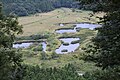 山頂から望む中池見湿地