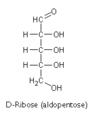 D-ribose