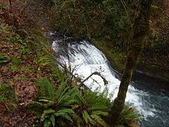 Drake Falls in Silver Falls State Park